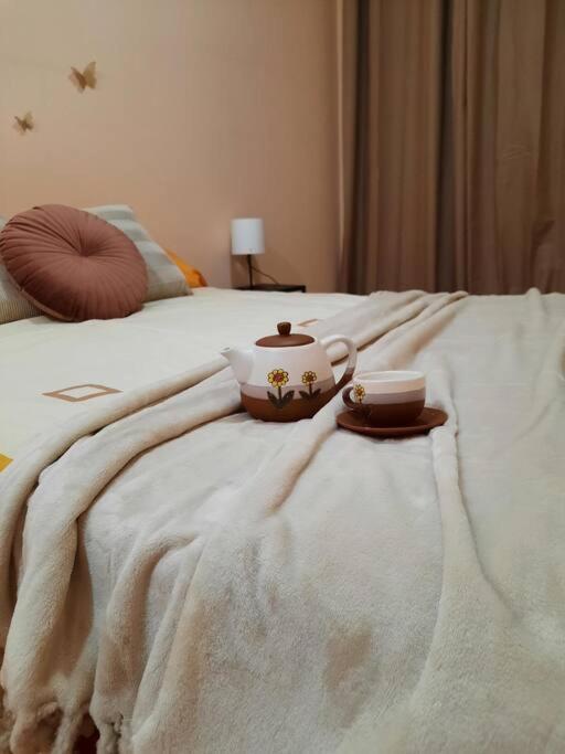 Bem Acogedora Y Muy Centrica Apartment Zamora Bagian luar foto