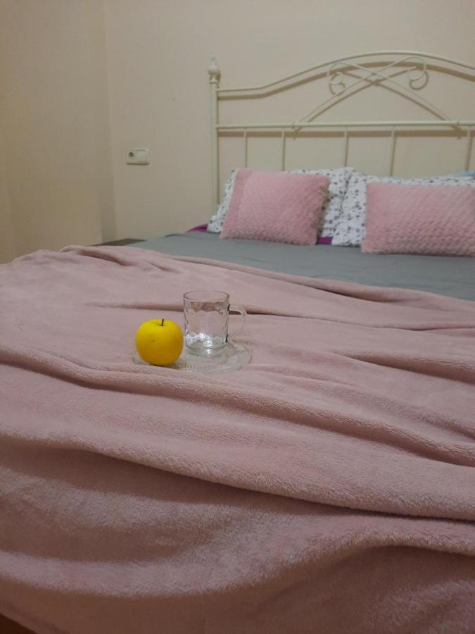 Bem Acogedora Y Muy Centrica Apartment Zamora Bagian luar foto