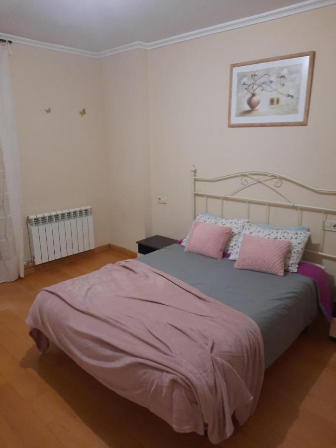 Bem Acogedora Y Muy Centrica Apartment Zamora Bagian luar foto